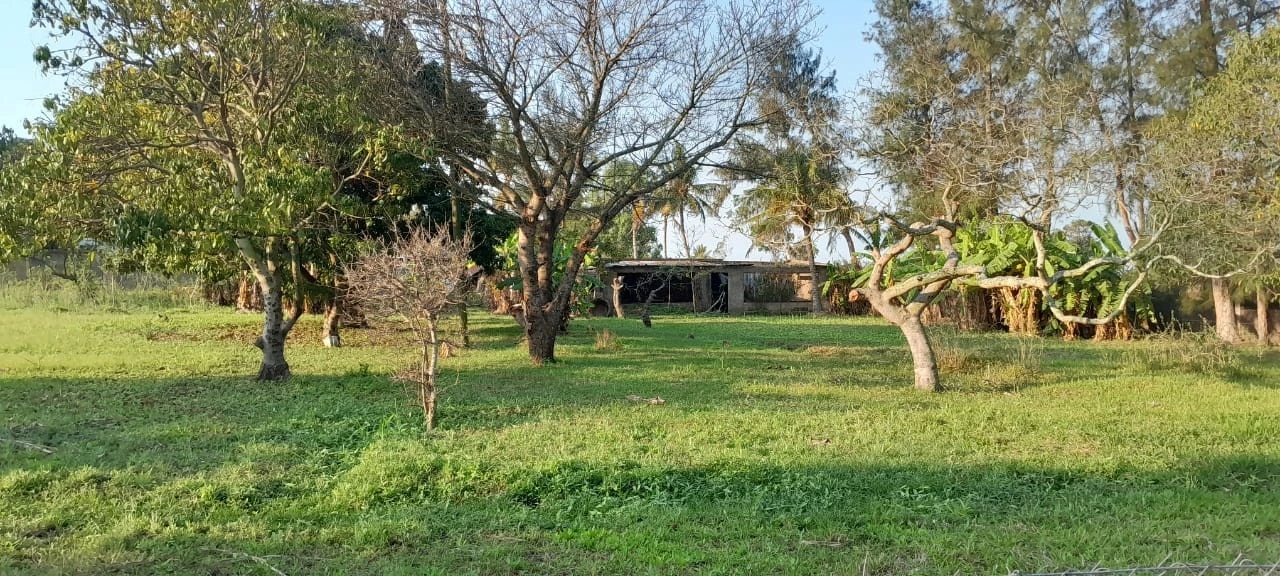 Farmhouse for sale 5600 m². Mahotas, Maputo. 